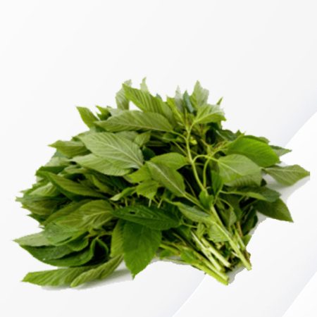 Fresh Ewedu leaf
