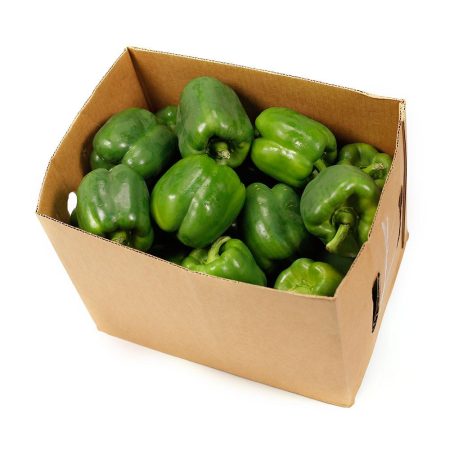 Fresh Green Pepper Box 3.5kg