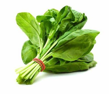 Fresh Spinach Leaf Bunch