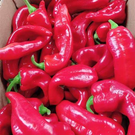 Fresh Long Red Pepper - Box 3.5kg