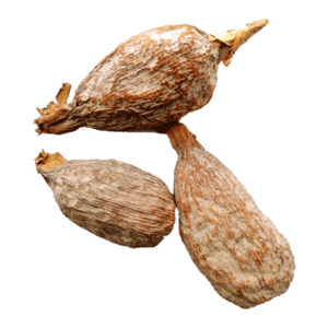 Aligator Pepper 100g