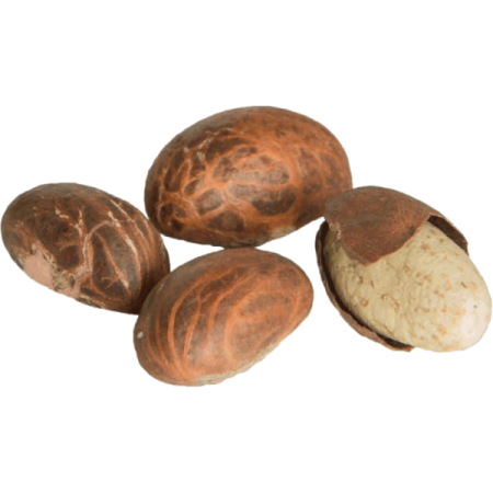 Bitter Kola – Orogbo 6 Pcs