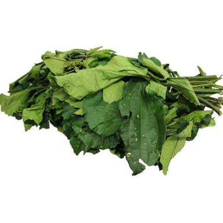 Fresh Ugu leaf