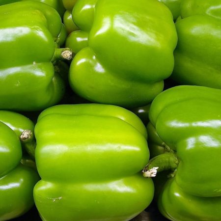 Fresh Green Pepper 500g