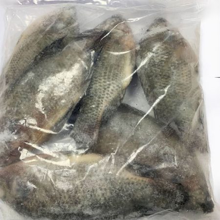 Frozen Tilapia Fish- Small  2.5kg