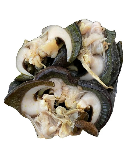 Frozen Snails (Large) 250g 3 In A Pouch - Image 2